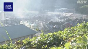 တော်တောရီ မွေးမြူရေးခြံတွင် မီးလောင်မှုဖြစ်ပွား၊ လူတစ်ဦး၏အလောင်းတွေ့ရှိ၊ ဝန်ထမ်းနှစ်ဦးနှင့် ဆက်သွယ်၍မရ